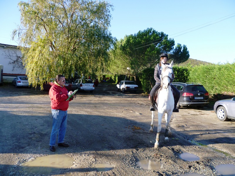 Clasificación del Campeonato Navarro de Trec 2012
